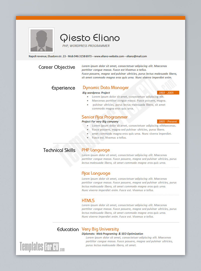 programmer cv template templates for cv downloaded 64268 times ...