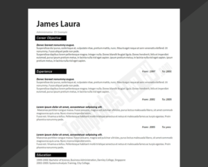 CV Template: Free High Quality Resume Templates [2022]